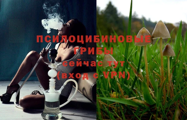 круглые Алзамай