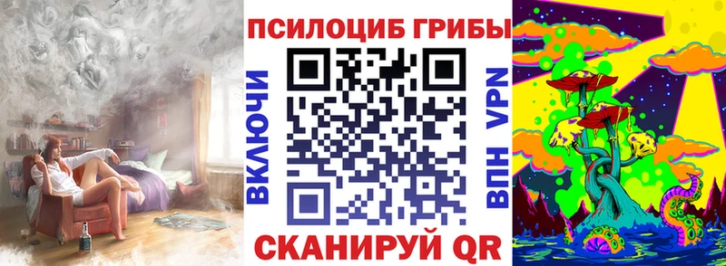 Галлюциногенные грибы Cubensis  KRAKEN ССЫЛКА  Топки 