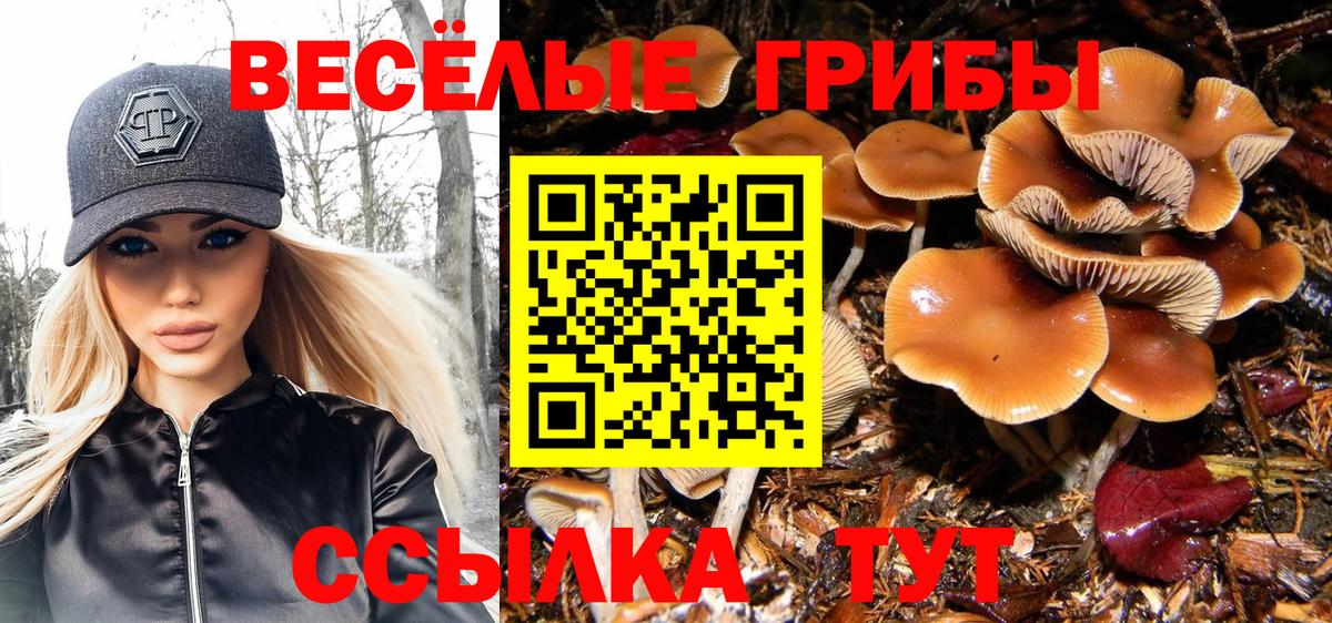 Псилоцибиновые грибы Cubensis Топки